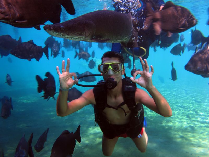 Homem praticando mergulho com tanque de oxigênio em uma piscina de águas termais peixes, fazendo sinal de positivo 