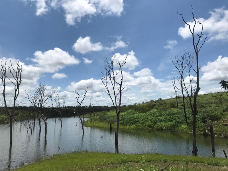 Lago na Serra da Mesa com o cerrado goiano ao redor e algumas árvores sem folhas dentro do lago