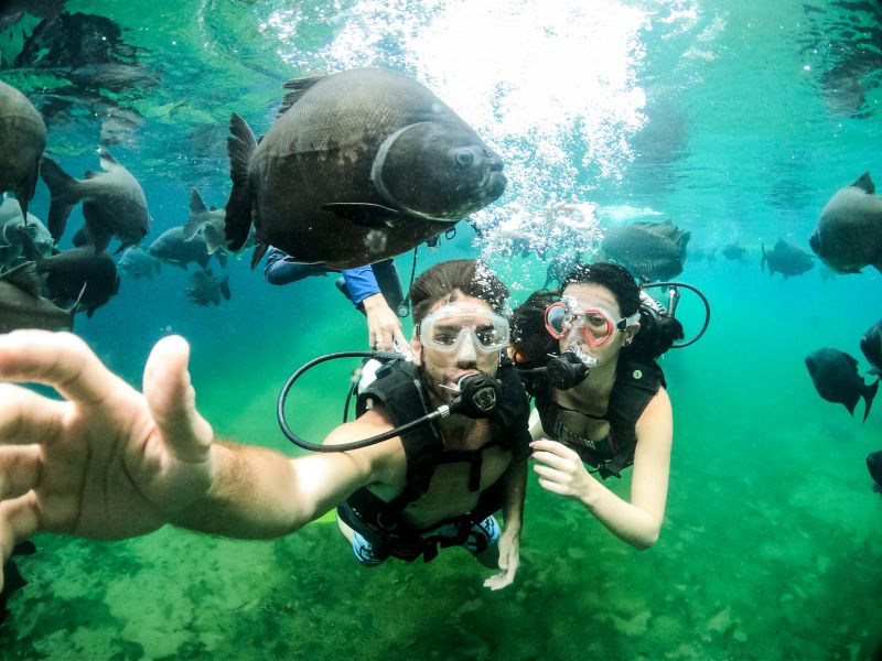 Casal mergulhando com peixes nas fontes termais do Rio Quente