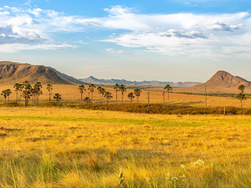 Planície na Chapada dos Veadeiros