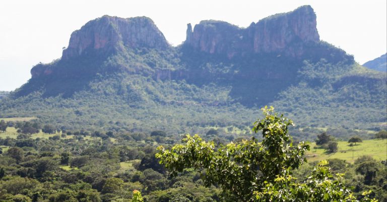 Curta as belezas de Mineiros em Goiás, um município cheio de natureza